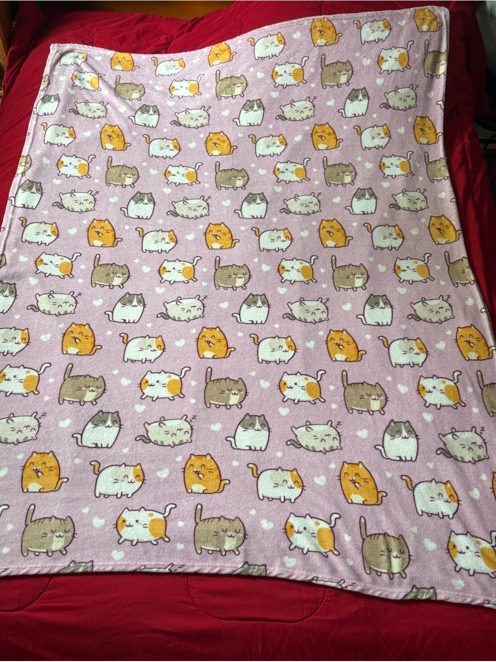 Kawaii Pink Fleece Plush Throw Blanket with Cats Kittens